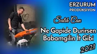 Salih Can - Ne Gapide Durirsen Babamgilin İt Gibi | 