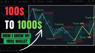 How I Grew a $100 Account Using Elliott Waves & Fibonacci