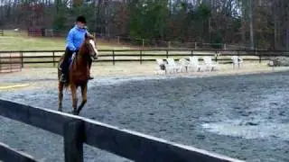 Annie Maunder Clinic- Small Jump