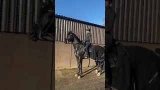Erin Williams with her beautiful Black Stallion