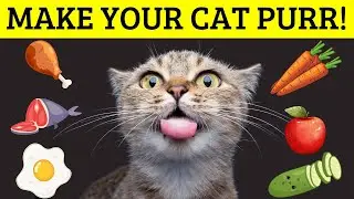 7 Human Foods That Will Make Your Cat Purr with Joy ! Safe & Delicious Snacks
