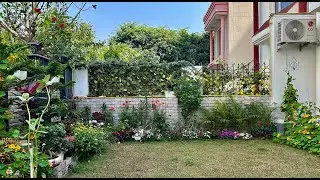 स्वर्ग सा सुंदर गार्डन 🥰 Tiny Home Garden Tour || Flowers & Plants collection || Noida || Garden Man