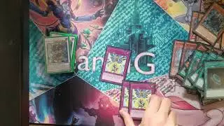 BEST YANG ZING ANTI DECK 2019 (Kappa)