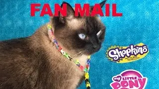 Cinco De Mailo Fan Mail September Opening Unboxing With Shopkins | PSToyReviews