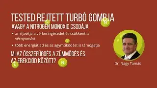 Tested rejtett turbó gombja, avagy a nitrogén monoxid csodája