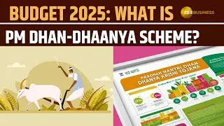 Budget 2025: What is PM Dhan-Dhaanya Scheme? Aim to benefit 1.7 crore farmers; Know its benefits