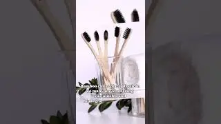 Nurturing a Plastic-Free Tomorrow