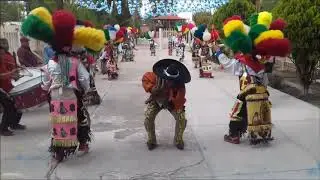 El Brinco Maldito- MATLACHINES LOS VENADOS