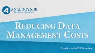 Reducing Data Management Costs with Analogyx BI