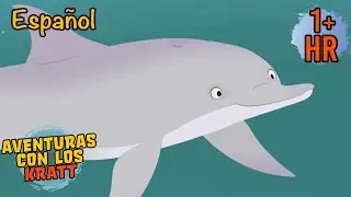 Una misión de rescate de delfines [episodios completos] Aventuras con los Kratt