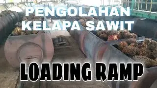 PROSES PENGOLAHAN KELAPA SAWIT| PROSES DI LOADING RAMP | PERMULAAN UNTUK MENGOLAH KELAPA SAWIT