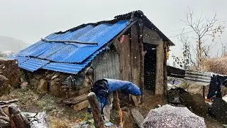 Himalayan Sheep Shepherd Life in winter season  Nepal | organic food cooking | Mountain Village Life