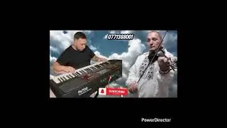 robin vioristul din dobresti 2026