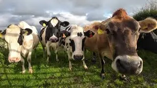 TAI HIRION CAMPSITE, ANGLESEY.  SHORT CAMERA/DRONE FLIGHT. #video 69#  4k