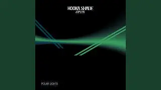 Polar Lights (INTA Remix)
