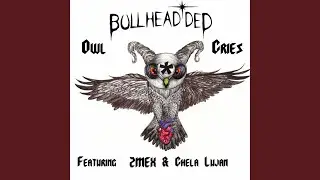 Owl Cries