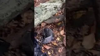 Hunting A Natural Ground Blind