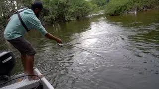 Poza Plagada De Peces , Pesca De Sábalos De Río