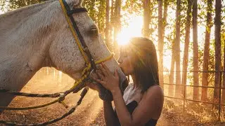 Camera ZV-1 | Cinematic Film 4k | Treinamento de cavalo