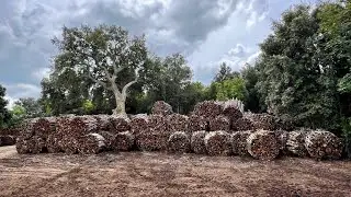 Bikeferien Toscana Mai 2024