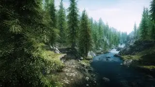 Щупаем Аниверсари #47 (TES V: Skyrim AE, Легенда)