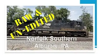 Norfolk Southern Eastbound Intermodal, Alburtis PA, June 4, 2024 Train 2 unedited run by clips