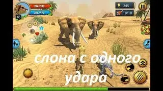 Симулятор гепарда РЕКОРДНЫЙ уровень | Cheetah simulator: record level