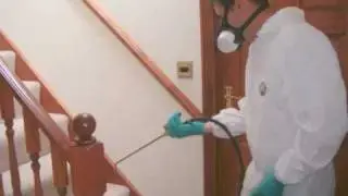 AAA American Hi Tech Termite And Pest Control
