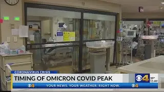 Current COVID surge appears to have hit its peak, experts talk what to expect