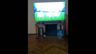 Xiaomi mitv2 55 fifa 16