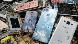 My brother picked up a lot of old phones for me Restoration destroyed Phone Oppo F9
