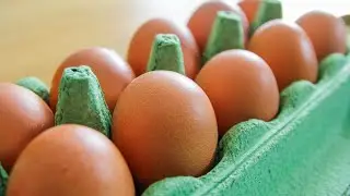 EGG RECALL: People across Midwest hospitalized after eating eggs linked to salmonella recall