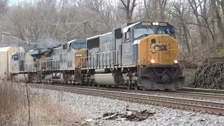 Lots of Trains in Relay & St Denis, Maryland