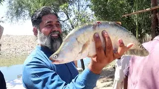 8.0Kg Fish Hunting From  Chotiari Dam | Mubarak Ali | Tour And Taste