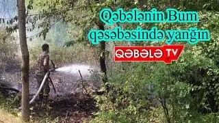 QƏBƏLƏNİN BUM QƏSƏBƏSİNDƏKİ YANĞINA SƏBƏB NƏ OLUB-QƏBƏLƏ TV