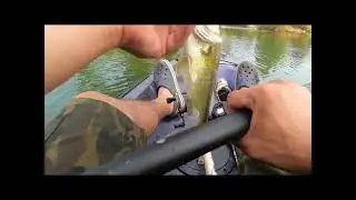 A Bitsy Flip day #largemouthbass #kayakfishing