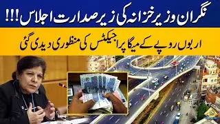 Caretaker Finance Minister has approved Billion Of Rupees Of Mega Projects | Capital Business