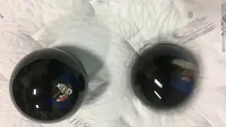 Logan and Cove Motion Transfer