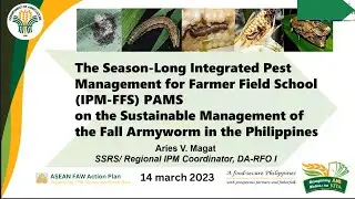 Farmer Field School (FFS) on the Sustainable Management of the Fall Armyworms in the Philippines