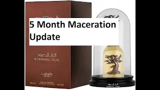 5 Month Maceration Update on Eternal Oud by Lattafa | Fragrances #273