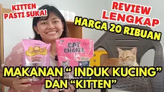 Review Lengkap Makanan Induk Kucing & Kitten CAT CHOIZE VS BOLT #makanankucingmurah #mycatsdiary