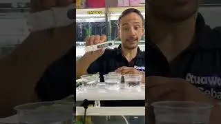 medici&oacute;n de TDS en acua destilada, agua de aire acondicionado, agua de bid&oacute;n y agua de grifo
