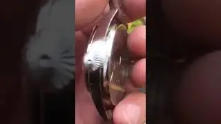 Отзыв от покупателя