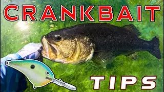 3 Crankbait Tricks For Summer Bass Fishing!