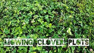 Mowing CLOVER PLOTS | SBO LIVE MINISODE #70