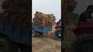 #mobilevideography #ghan #tractor #D14 #gav