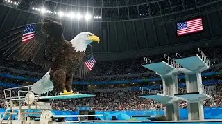 Birds Olympics [Which Country Birds Is Best Dive]? Must Watch