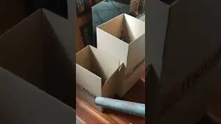 Abbie Chatfield VIP house move | Moved with Muval