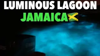 Jamaica Luminous Lagoon 2022 | Day in Jamaica Montego Bay
