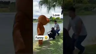 funny teddy bears #shots #funny #bollywood